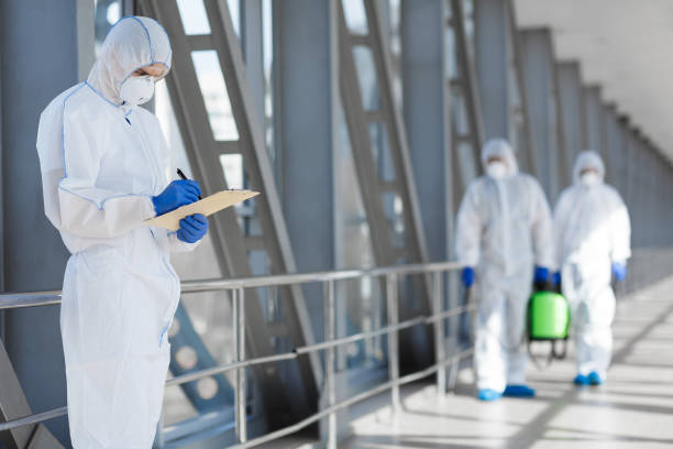 Best Environmental Consulting for Mold Prevention  in Stevensville, MI