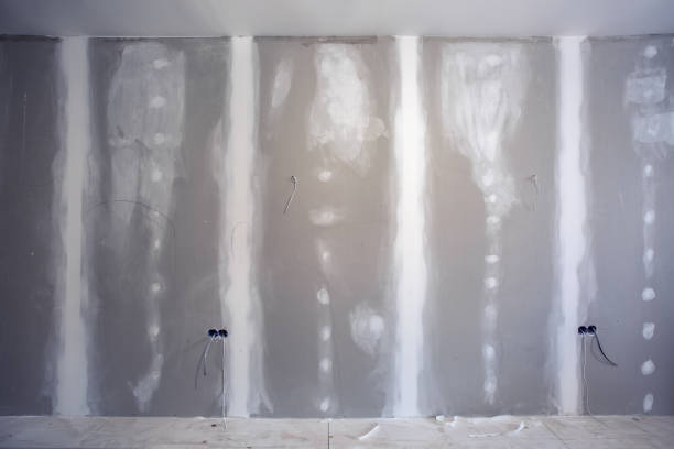 Forensic Mold Investigation in Stevensville, MI