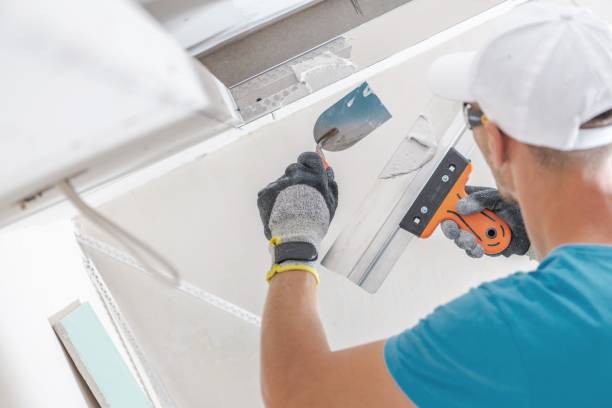 Stevensville, MI Mold Removal Company